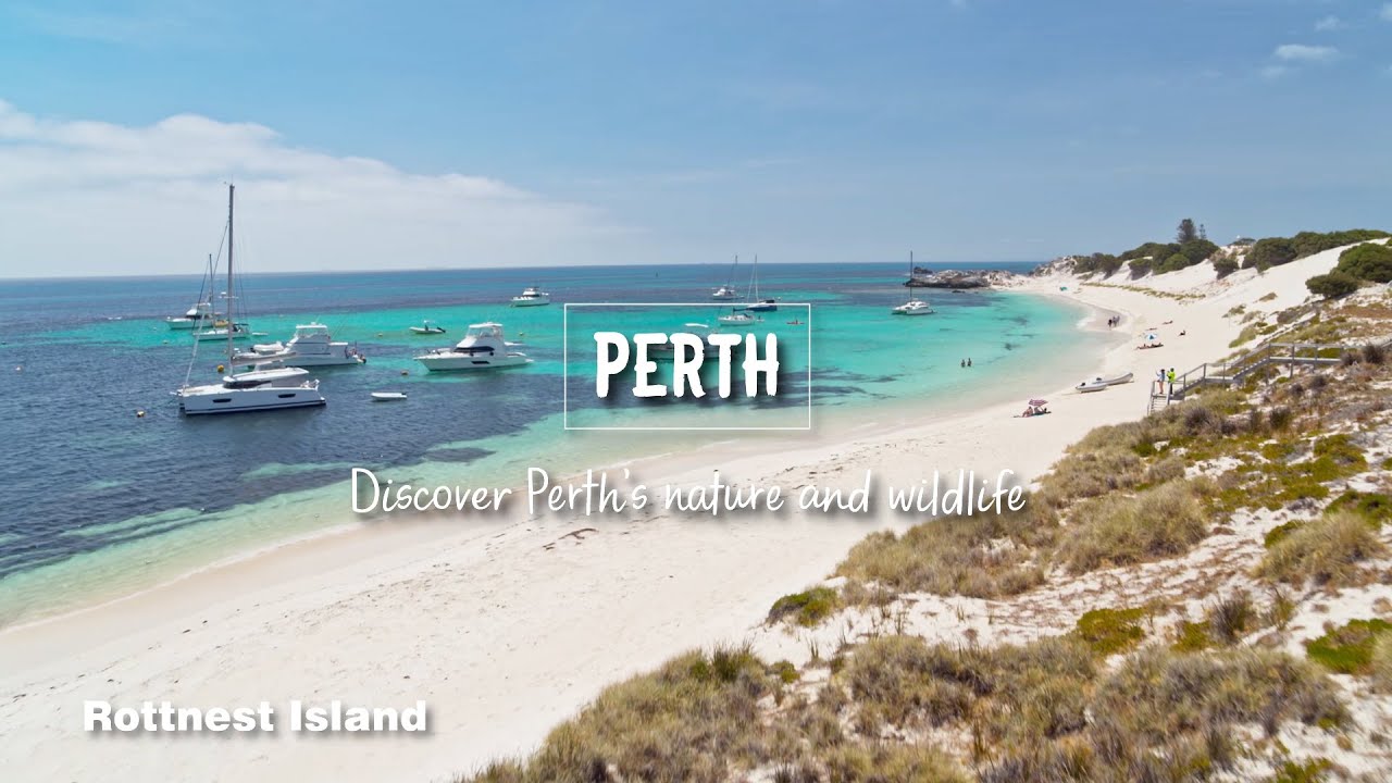 Perth, discover Perth’s nature and wildlife