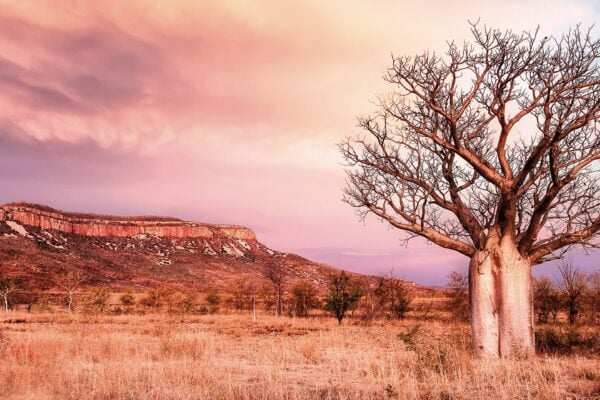 21 Day Wonders of the West Coast & Kimberley Tour